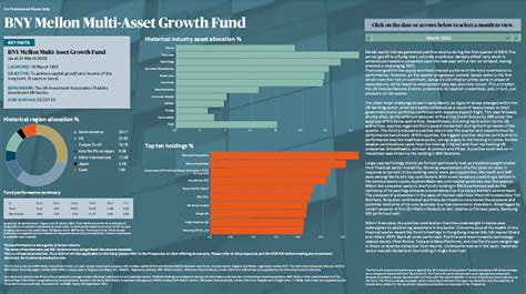 bny mellon research growth fund, inc.|BNY Mellon Research Growth Fund, Inc. Class A (DWOAX).